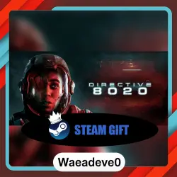 Directive 8020 steam gift ( Укр. UA ) ( Russia )