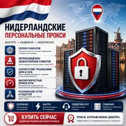 Купить личные прокси в Нидерландах | Быстрые • Конфиденциальные • Выделенные