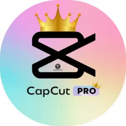 Capcut Pro, индивидуальный, случайный выбор, 6-7 дней | 6 месяцев | 12 месяцев