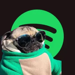 Spotify Premium — Account Activation 1,3,6,12 Months