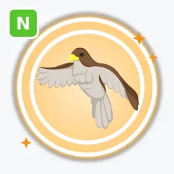 Hawk | Legendary, Neon | Adopt Me! — Roblox, лот №211478