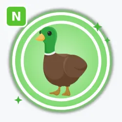 Drake | Uncommon, Neon | Adopt Me!