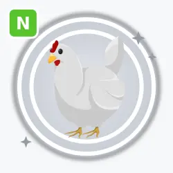 Chicken | Common, Neon