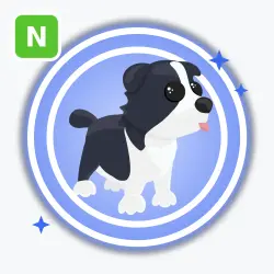 Border Collie | Rare, Neon | Adopt Me! — Roblox, лот №211678