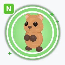 Quokka | Uncommon, Neon