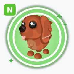 Irish Setter | Uncommon, Neon | Adopt Me!