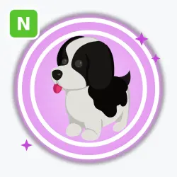 Black Springer Spaniel | Ultra Rare, Neon | Adopt Me! — Roblox, лот №211802