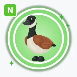 Canada Goose | Uncommon, Neon