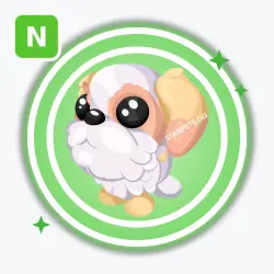 Shih Tzu | Uncommon, Neon