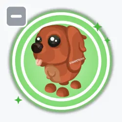 Irish Setter | Uncommon, Default