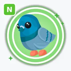 Rock Pigeon | Uncommon, Neon