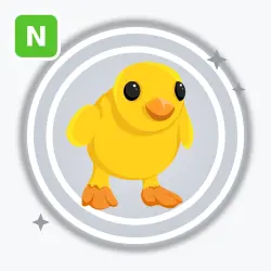 Chick | Common, Neon