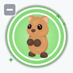 Quokka | Uncommon, Default | Adopt Me! — Roblox, лот №212041