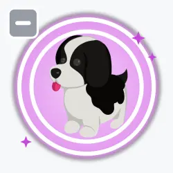 Black Springer Spaniel | Ultra Rare, Default | Adopt Me! — Roblox, лот №212088