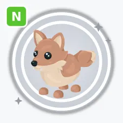 Coyote | Common, Neon