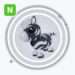 Ash Zebra | Common, Neon