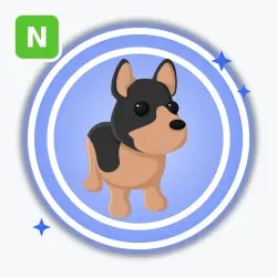 Australian Kelpie | Rare, Neon