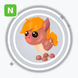 Show Pony | Common, Neon