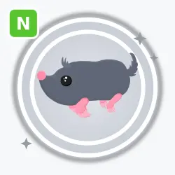 Sado Mole | Common, Neon