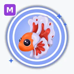 Orange Betta Fish | Rare, Mega Neon