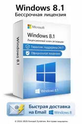 Windows 8.1 Pro