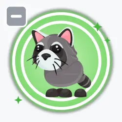 Raccoon | Uncommon, Default | Adopt Me! — Roblox, лот №212416