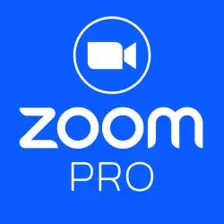 Zoom Workplace pro — план на 1 месяц