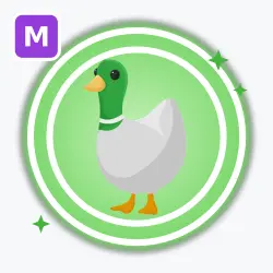 Silly Duck | Uncommon, Mega Neon | Adopt Me! — Roblox, лот №212527