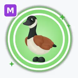 Canada Goose | Uncommon, Mega Neon | Adopt Me! — Roblox, лот №212638