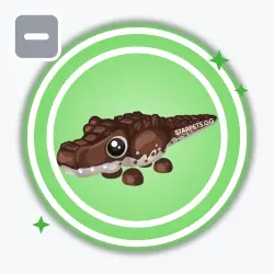 Cocoadile | Uncommon, Default | Adopt Me!