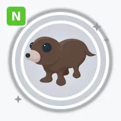 Otter | Common, Neon | Adopt Me!