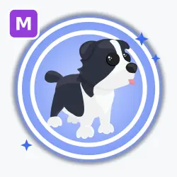 Border Collie | Rare, Mega Neon | Adopt Me! — Roblox, лот №213001