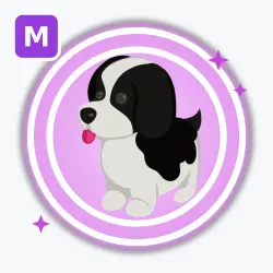 Black Springer Spaniel | Ultra Rare, Mega Neon | Adopt Me! — Roblox, лот №213000