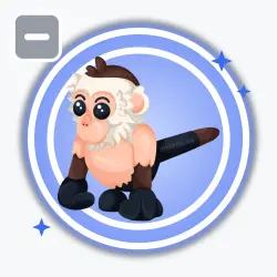 Capuchin Monkey | Rare, Default | Adopt Me!