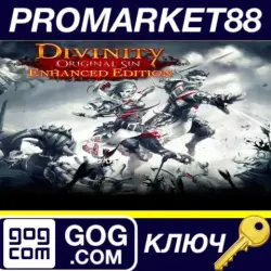 Divinity: Original Sin Enhanced Edition Collector's Edi