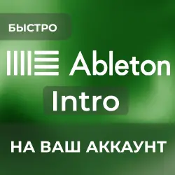 Ableton Live 12 Intro | НА ВАШ АККАУНТ