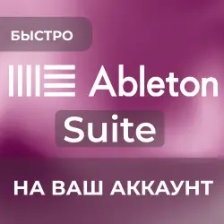 Ableton Live 12 Suite | НА ВАШ АККАУНТ