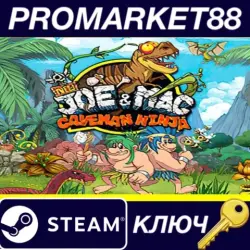 New Joe &amp; Mac - Caveman Ninja Steam КЛЮЧ GLOBAL