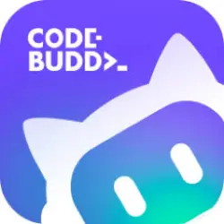 codebuddy /workbuddy Pro Subscription + Top up Credit