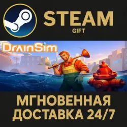 DrainSim Steam Gift СТИМ ГИФТ ПК АВТОДОСТАВКА ПОДАРОК
