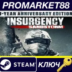 Insurgency: Sandstorm 1-Year Anniversary Edition PC Ste