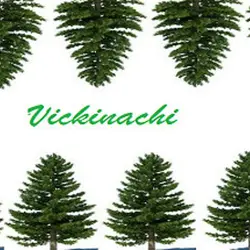 Vickinachi Steam