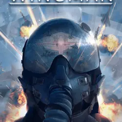 Project Wingman Steam