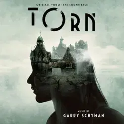 Torn Steam - Key (Steam)
