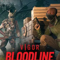 Vigor Steam