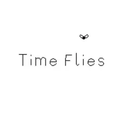 Time Flies Steam