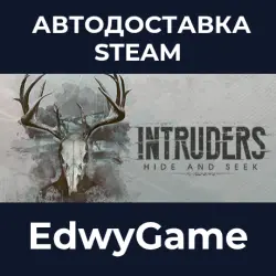 Intruders: Hide and Seek