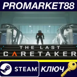 The Last Caretaker EU PC Steam Key