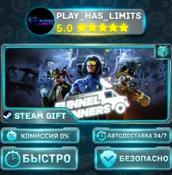 Funnel Runners *RU/BY/UA/СНГ Steam Auto