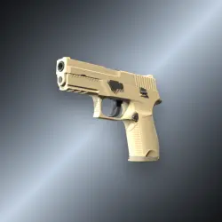 P250 | Sand Dune (Field-Tested)